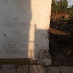 Here, a sense of melancholy